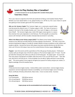 Learn to Play Hockey like a Canadian!