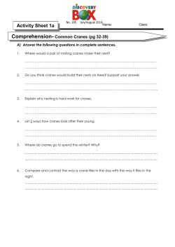 discovery 75 - Nurture Craft