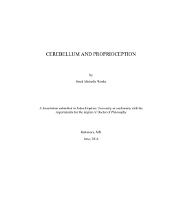 Proprioceptive localization deficits in people with