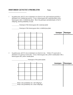 dihybrid genetics problems