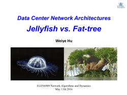 Jellyfish vs. Fat-tree - Network Algorithms and Dynamics