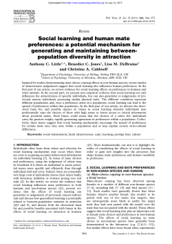 Social learning and human mate preferences