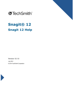 Snagit 12 Help