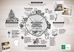 becoming forest positive