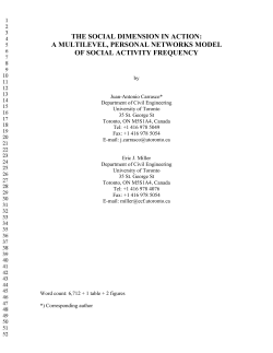 the social dimension in action: a multilevel, personal networks