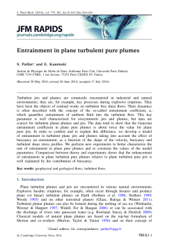 Entrainment in plane turbulent pure plumes