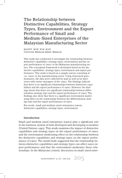 The Relationship between Distinctive Capabilities, Strategy Types