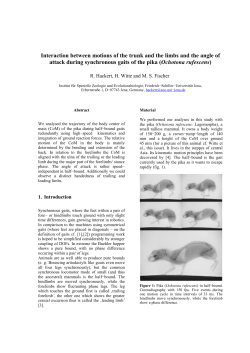 Interaction between motions of the trunk and the limbs and the angle