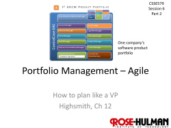 Portfolio Governance - Agile - Rose