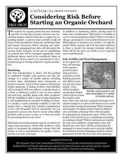 Considering Risk Before Starting an Organic