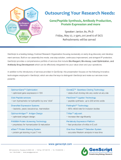 Outsourcing Your Research Needs.ai