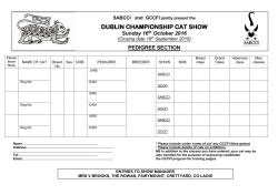 dublin championship cat show