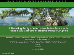 A Modeling Study of Alternative Stable States in the Florida Bay