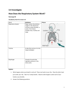 3.4 Investigate How Does the Respiratory
