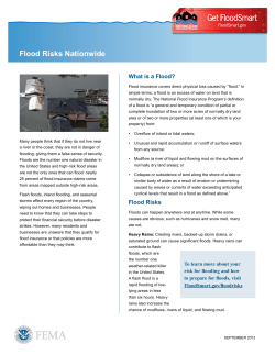 The National Flood Insurance Program | FEMA.gov