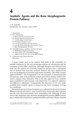 Anabolic Agents and the BMP Pathway