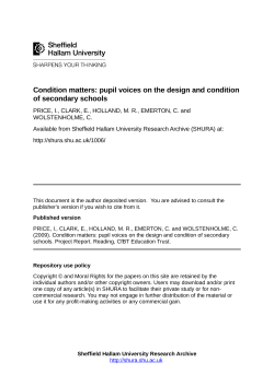 Condition matters: pupil voices on the design and condition of