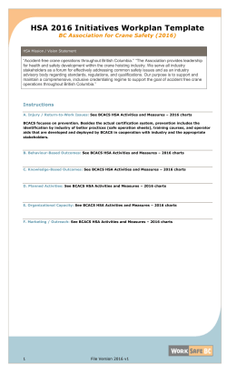 HSA 2016 Initiatives Workplan Template