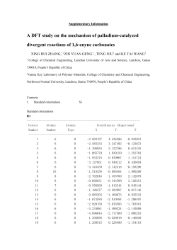 A DFT study on the mechanism of palladium