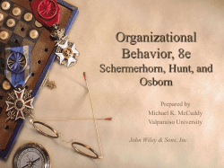 Chapter 11: Strategy and the Basic Attributes of Organizations