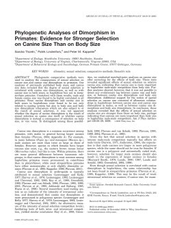 Phylogenetic analyses of dimorphism in primates: Evidence for