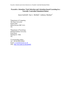 Executive attention, task selection and attention