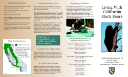 Living With California Black Bears