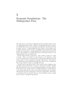 Economic Foundations: The Multiproduct Firm