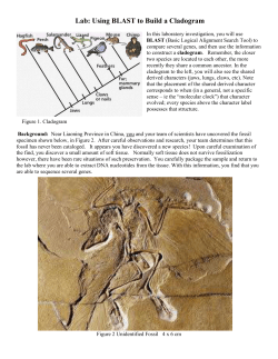 Lab: Using BLAST to Build a Cladogram