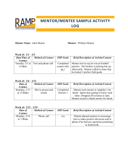 mentor/mentee sample activity log