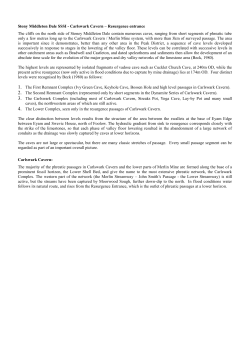 CAVE CONSERVATION MONITORING FORM