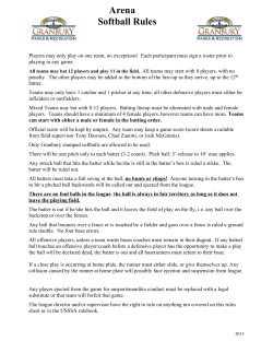 Arena Softball Rules