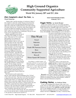 Mei Quin Choi - High Ground Organics