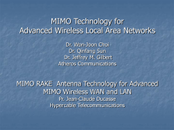 MIMO Technology for Advanced Wireless Local Area