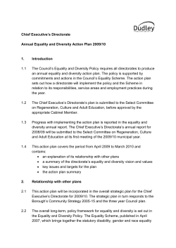 Chief Executive`s Directorate &ndash; Equality and Diversity Action Plan for