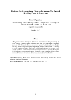 Business Environment and Firm performance: The Case of Retailing