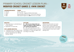 primary school cricket lesson plan – modified cricket games 2. kwik