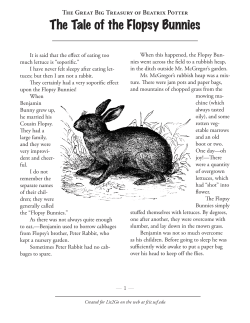 The Tale of the Flopsy Bunnies
