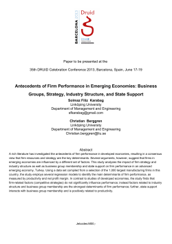 Antecedents of Firm Performance in Emerging Economies