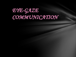 EYE GAZE - 123SeminarsOnly.com