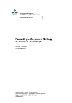 Evaluating a Corporate Strategy