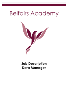 Job Description Data Manager