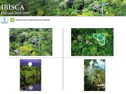 PowerPoint presentation