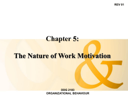Chapter 5: The Nature of Work Motivation