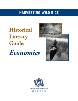 Harvesting Wild Rice - Wisconsin Historical Museum