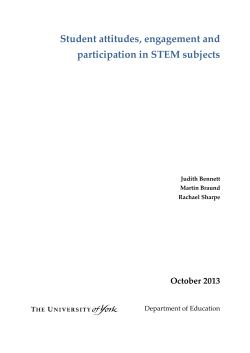 RS Vision Project review-10.10.13