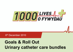 goals and roll-out