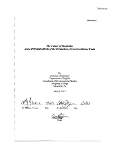 The Future of Meadville - Allegheny College DSpace Repository