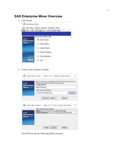 SAS Enterprise Miner Overview