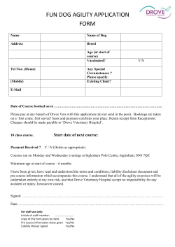 Fun Agility Pre Course Information